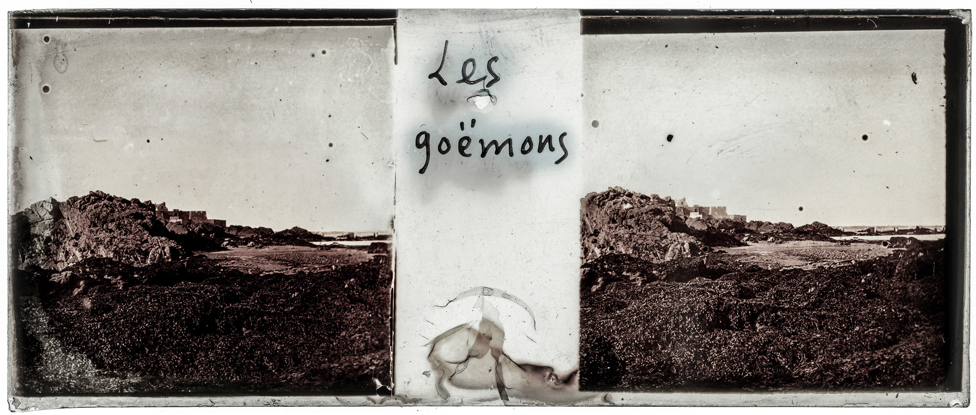 1759_ "Les Goëmons"