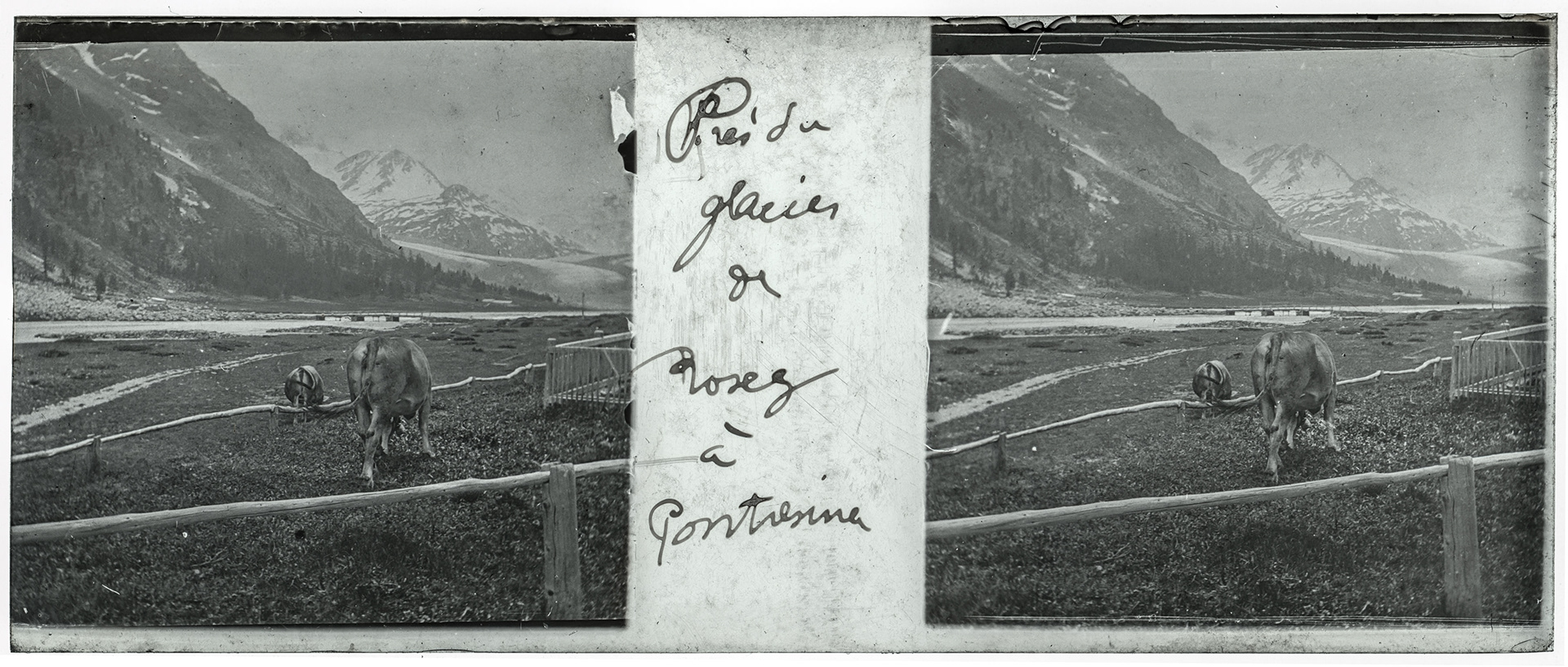 1159_ Suisse-Pontresina Roseg - "Près du glacier de Roseg à Pontresina"