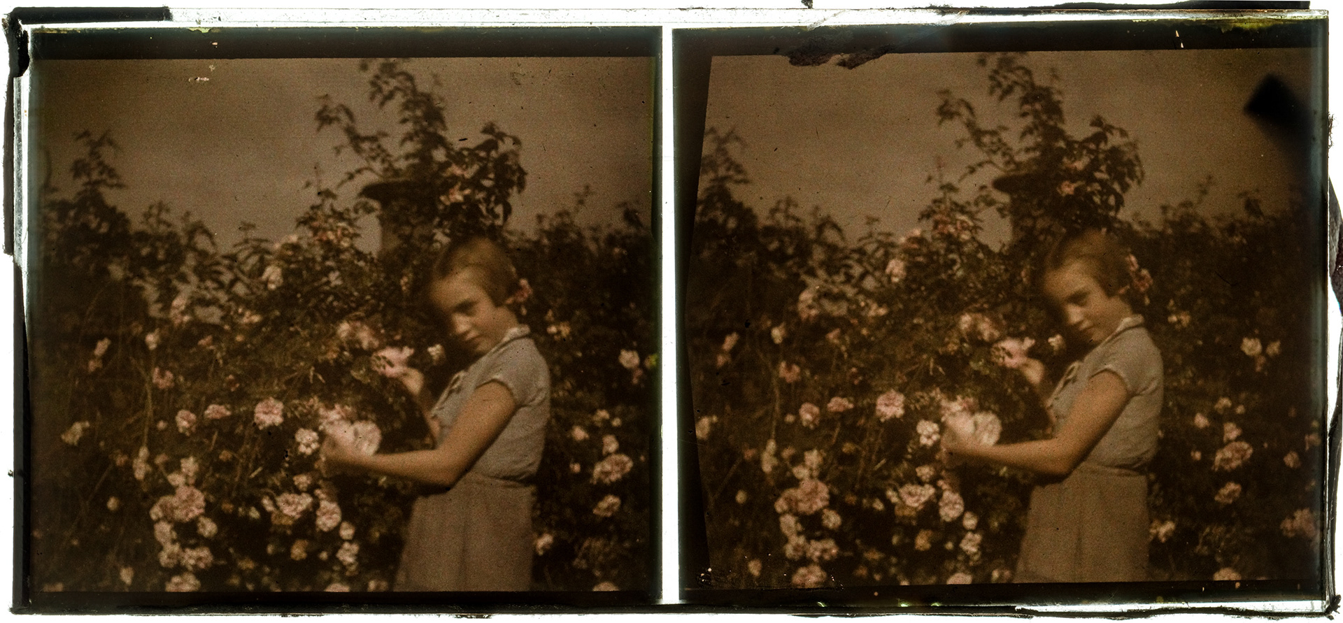 2248_ France-Lille-Esquermes