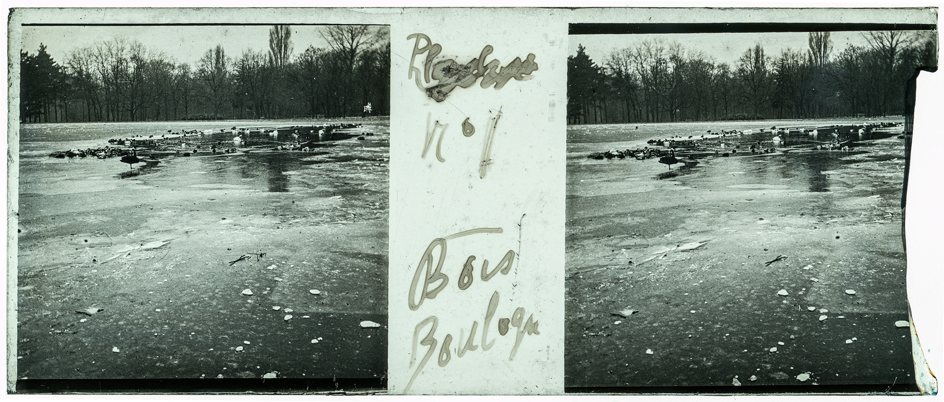 0210_ France-Paris - "n°1 Bois de Boulogne"