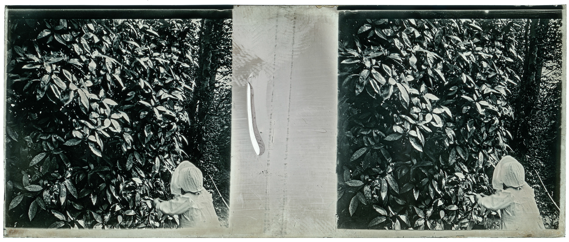 1238_ France-Lille-Esquermes - 1907