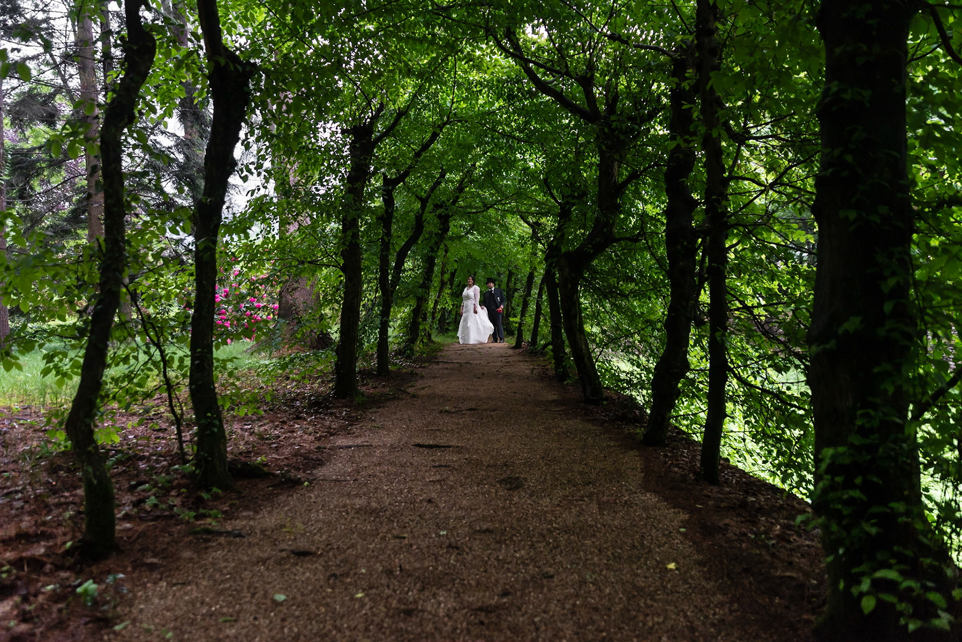 All'ombra delle fronde