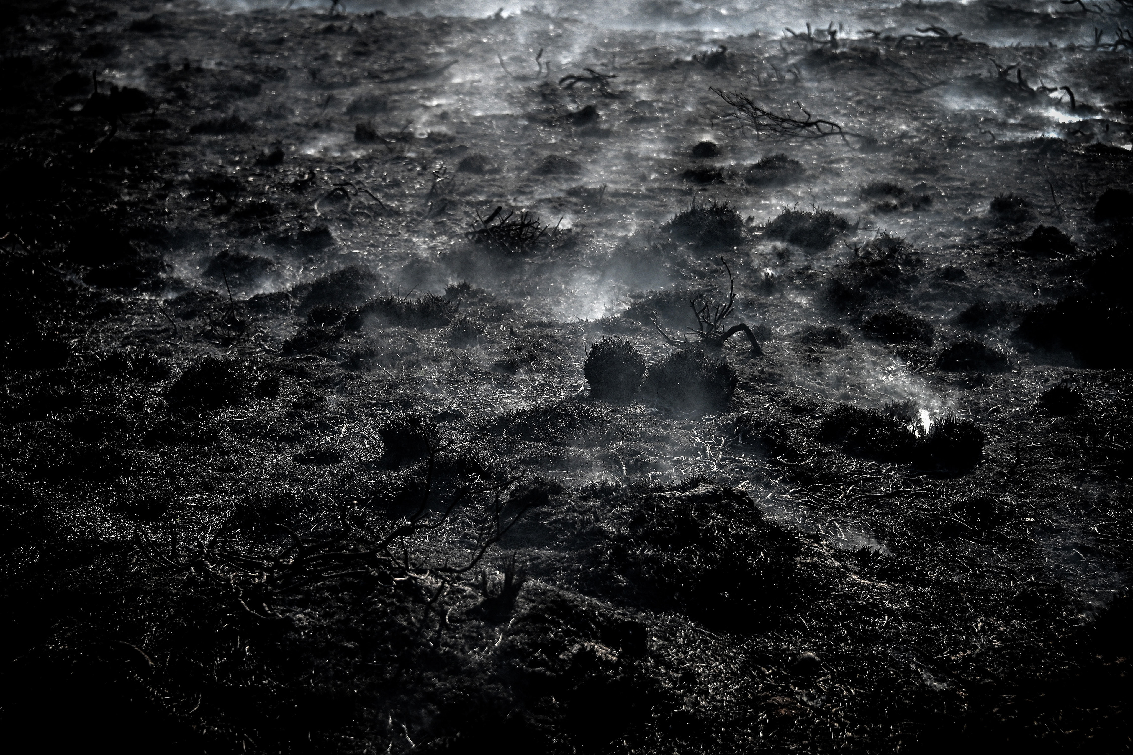 Burnt meadows during a forest fire at the national park De Meinweg in the German-Dutch border area near Niederkruechten, Germany, 21 April 2020. (Photo by Sascha Steinbach/epa)
