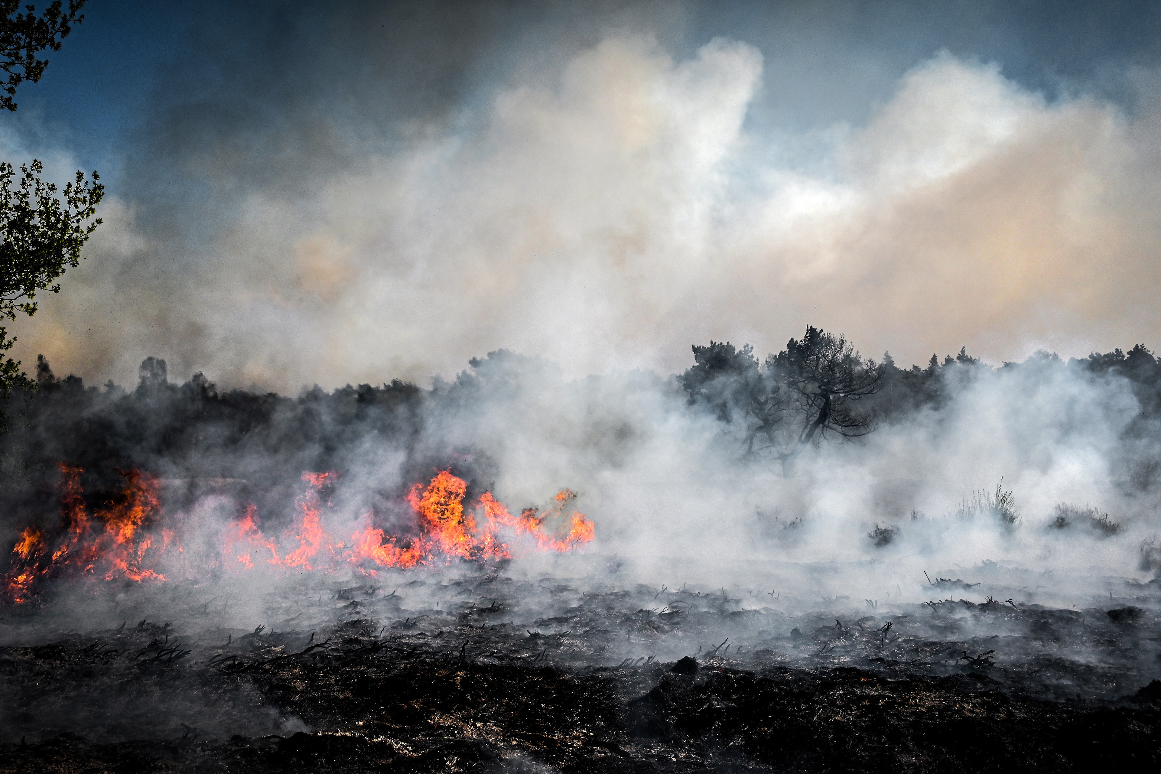 Trees and grasses burn during a forest fire at the national park De Meinweg in the German-Dutch border area near Niederkruechten, Germany, 21 April 2020. (Photo by Sascha Steinbach/epa)