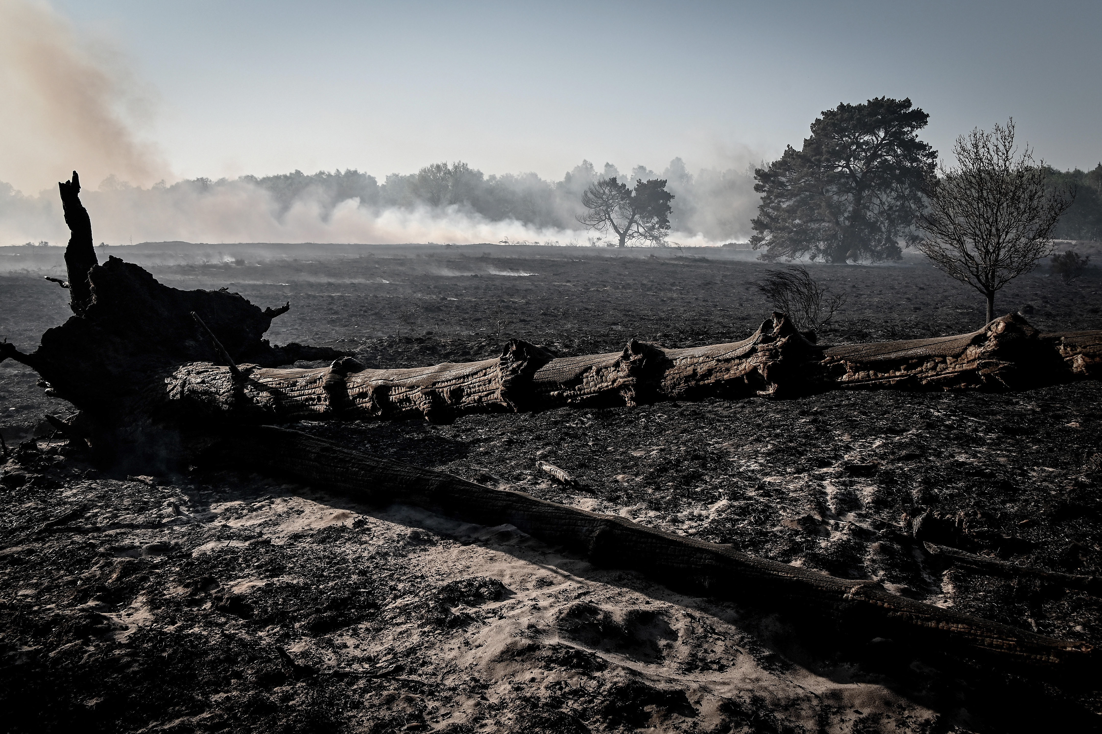 A burnt tree during a forest fire at the national park De Meinweg in the German-Dutch border area near Niederkruechten, Germany, 21 April 2020. (Photo by Sascha Steinbach/epa)