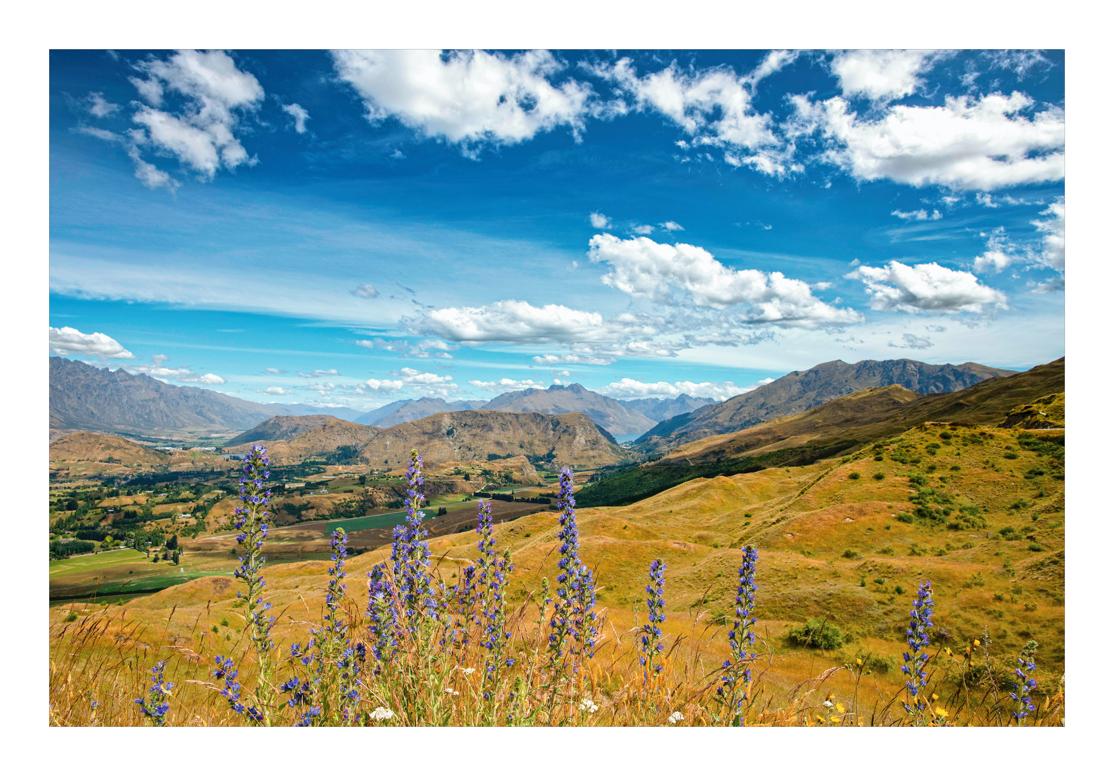 Queenstown Overlook (Ref: 2253)