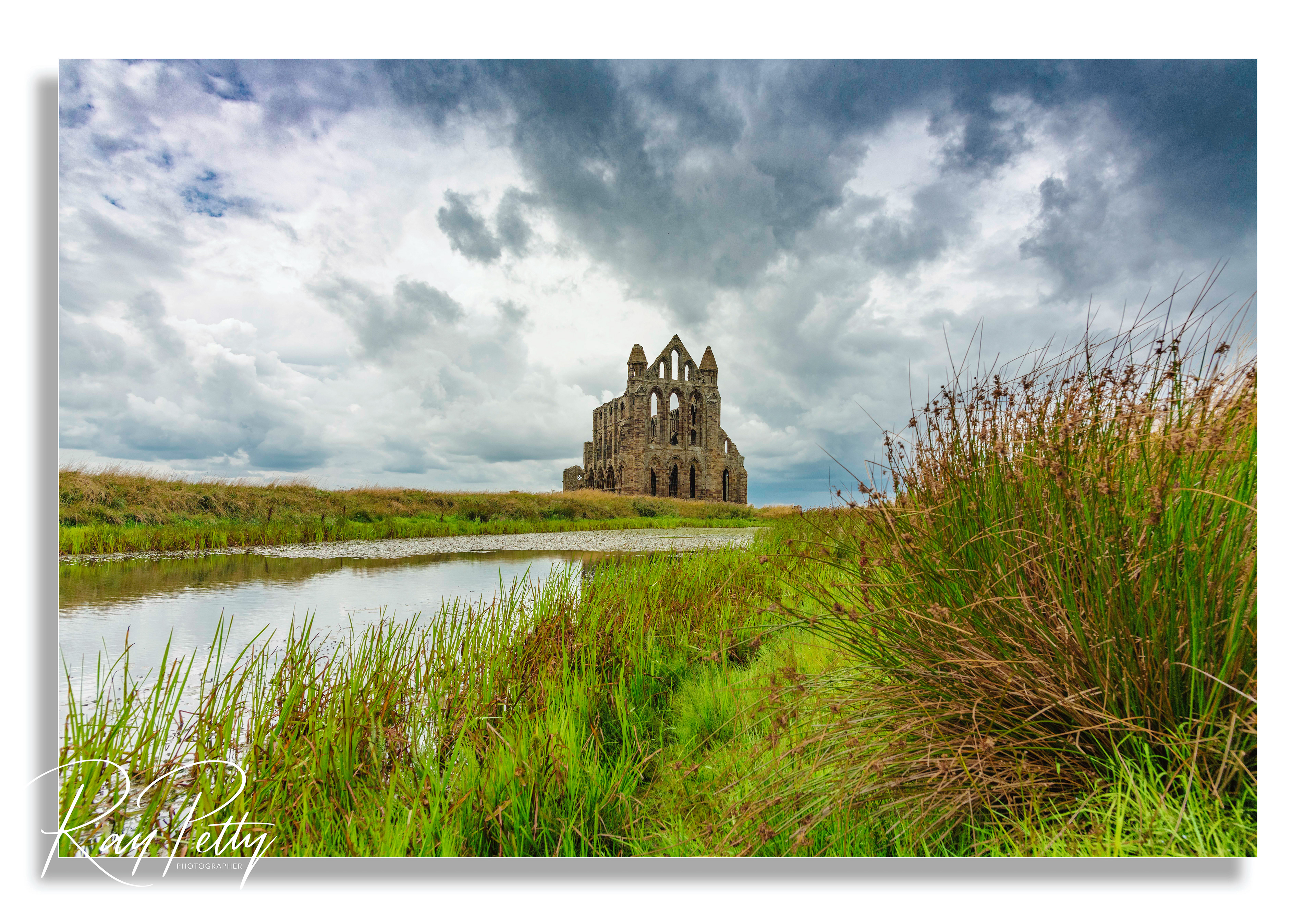 Whitby Abbey (Ref: 5118)