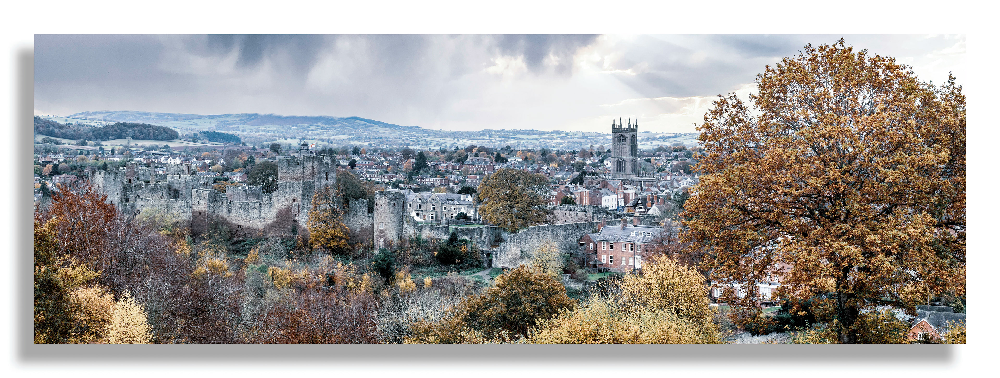 Ludlow Castle (Ref:1130)