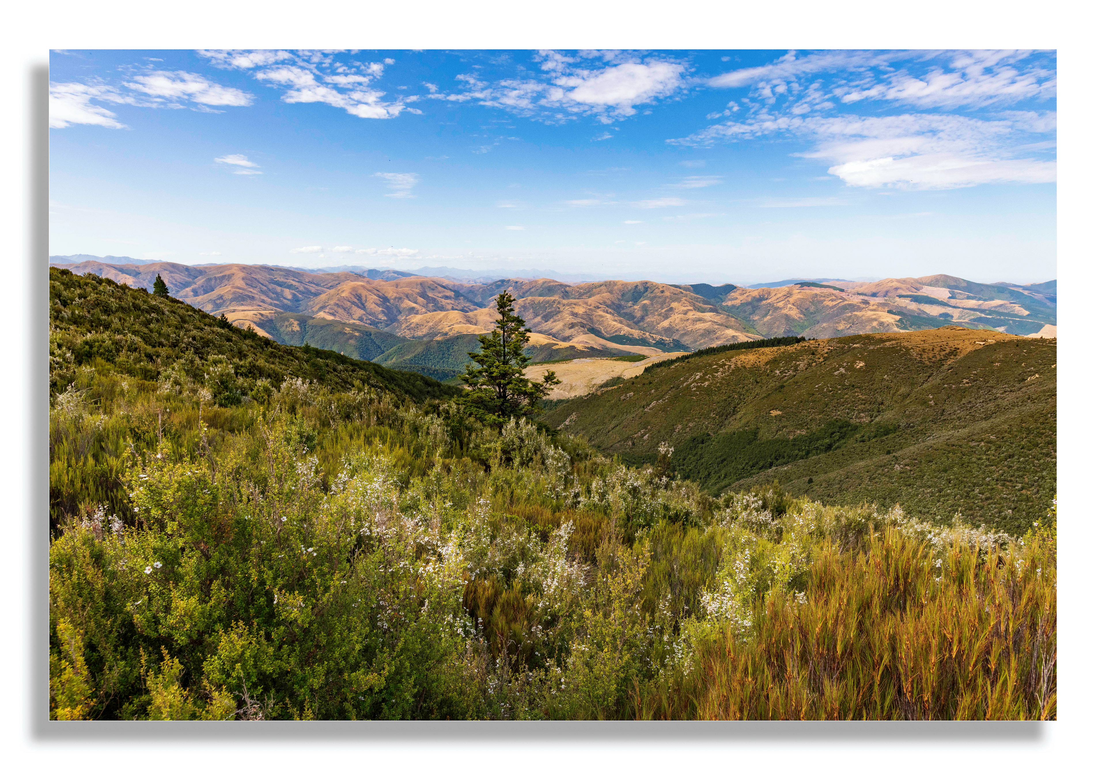 Queenstown Mountain Range (Ref: 1854)