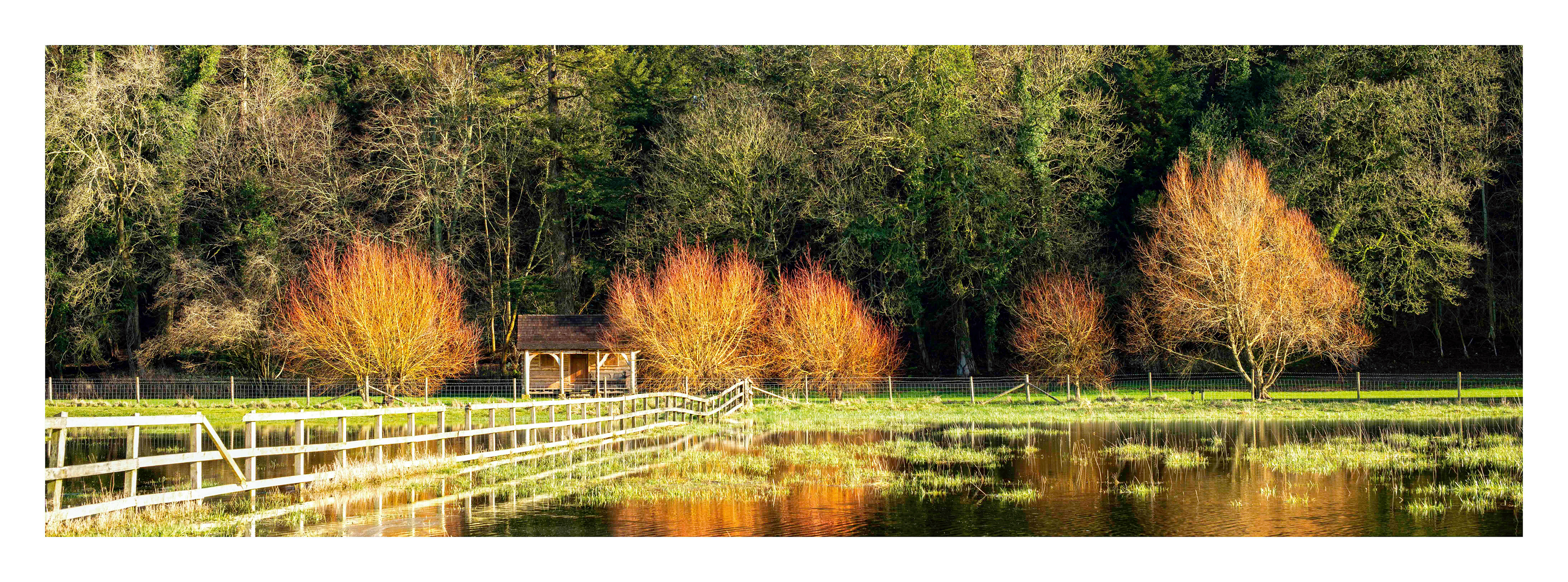 Flooded Field at Coln St Aldwyn (Ref: 6759)