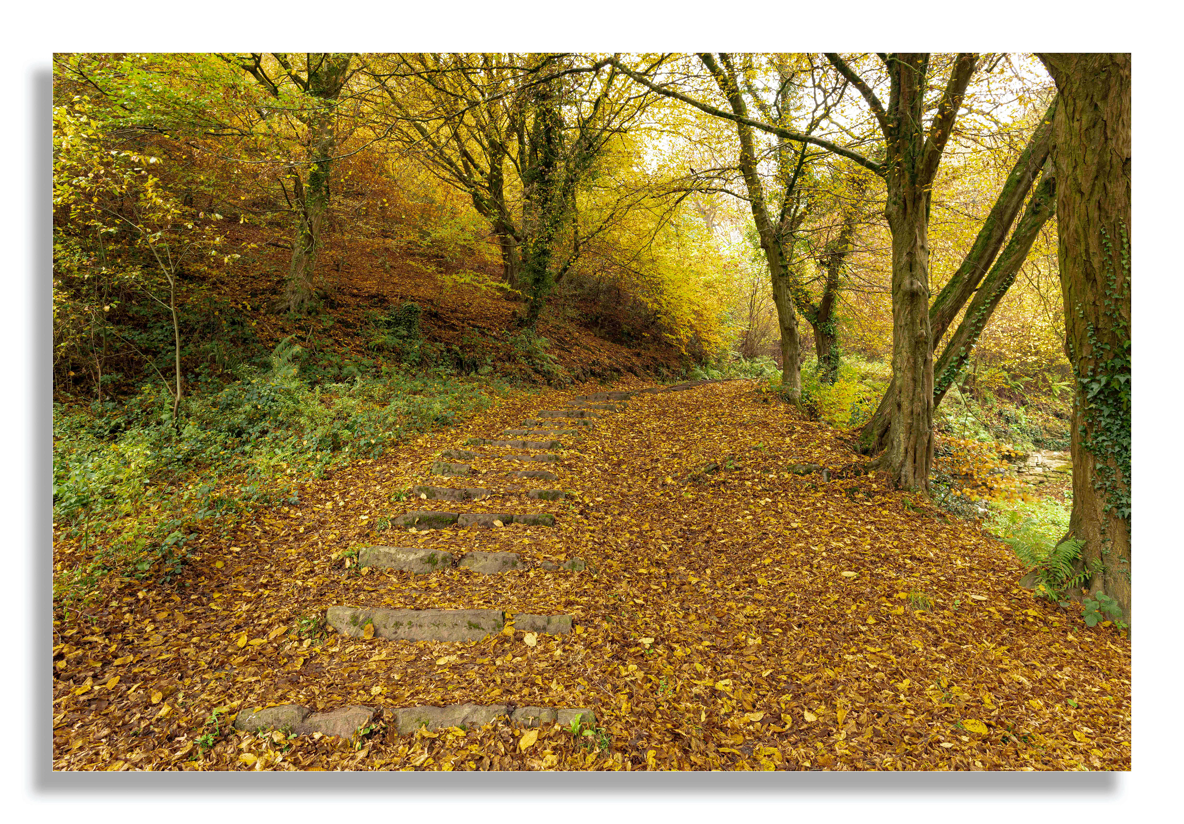 Steps to Whitcliffe Common (Ref:1023)