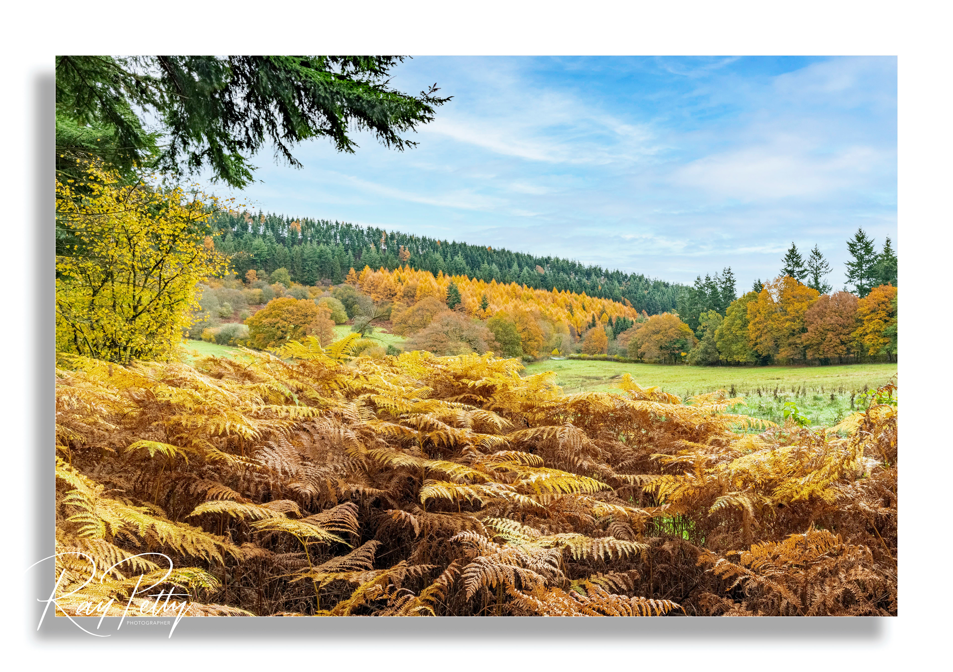 High Vinnalls Hike (Ref:1097)