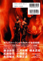 オールスター・プロレスリング II