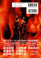 オールスター・プロレスリング II／デジキューブ
