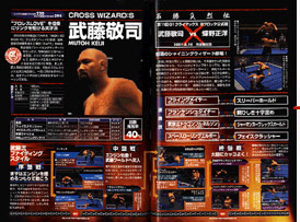 オールスター・プロレスリング II／デジキューブ