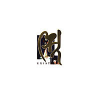 岡崎武士画集 Exist