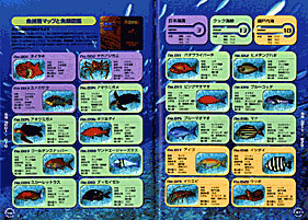 テーマアクアリウム