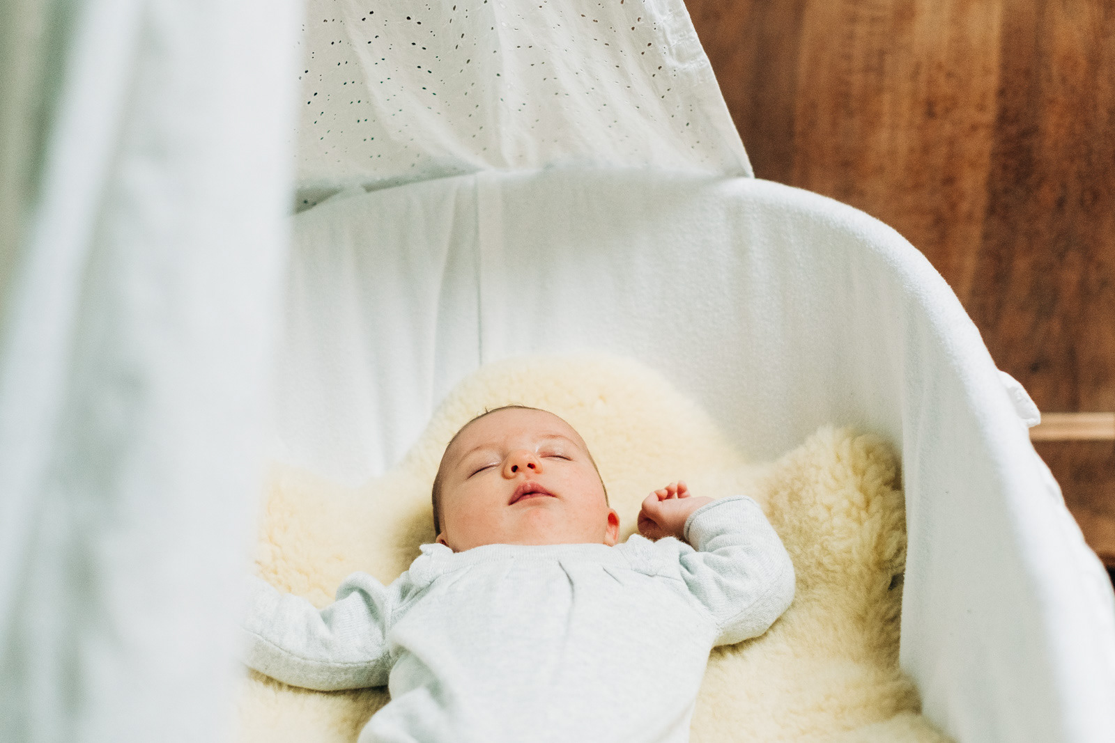 Famille nouveau-né Drôme photo