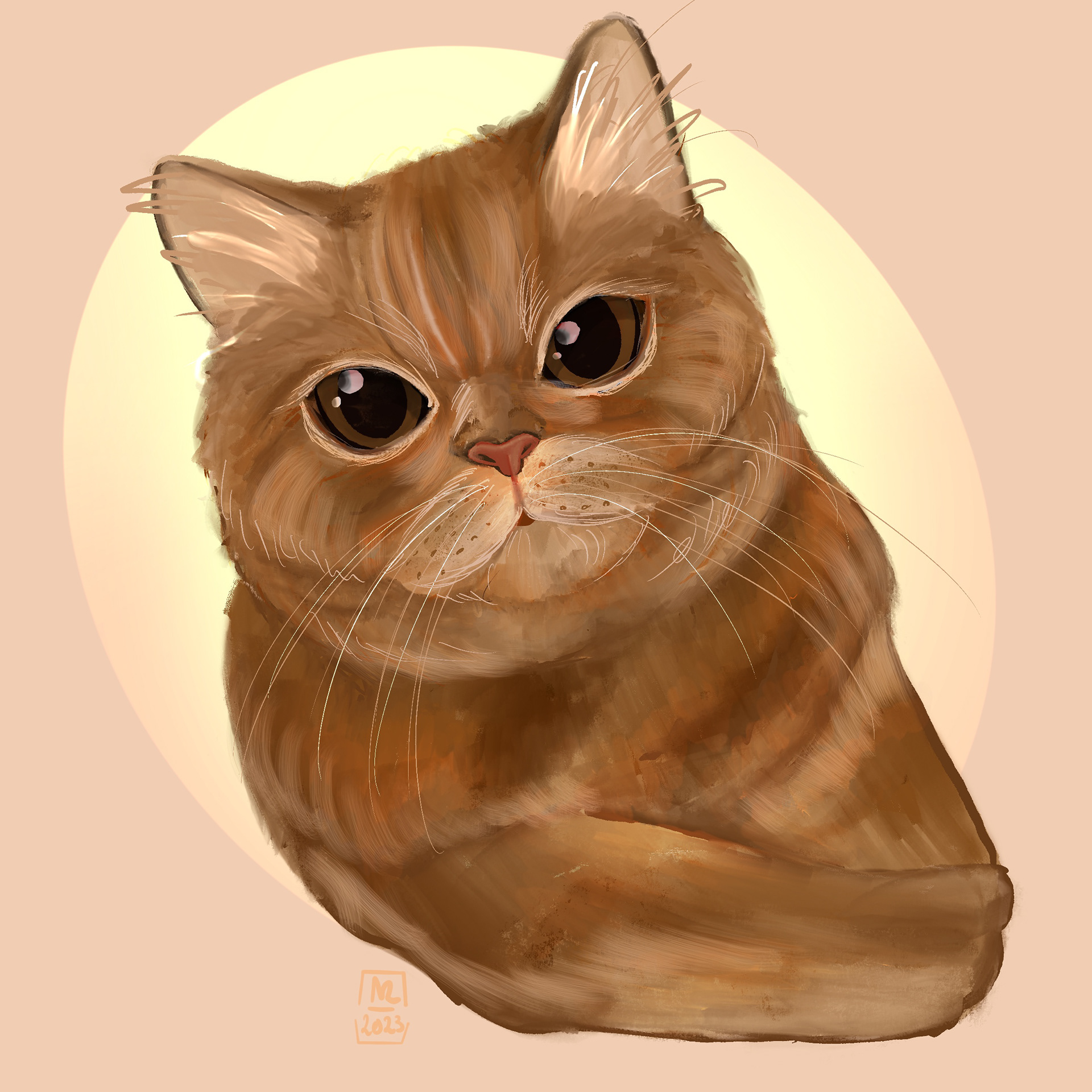 pet portrait-Soupi the cat