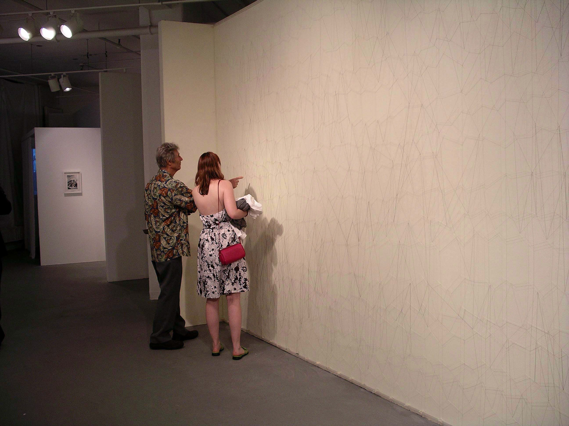 Transitory Illumination, thread, 10' x 20' x 1"