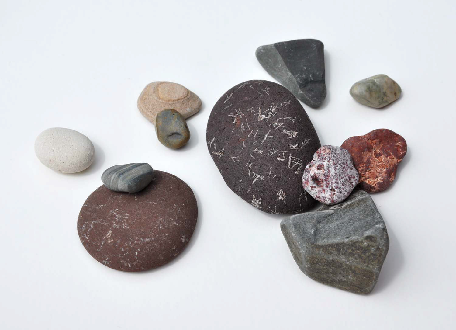 From the Collection of the Artist, detail