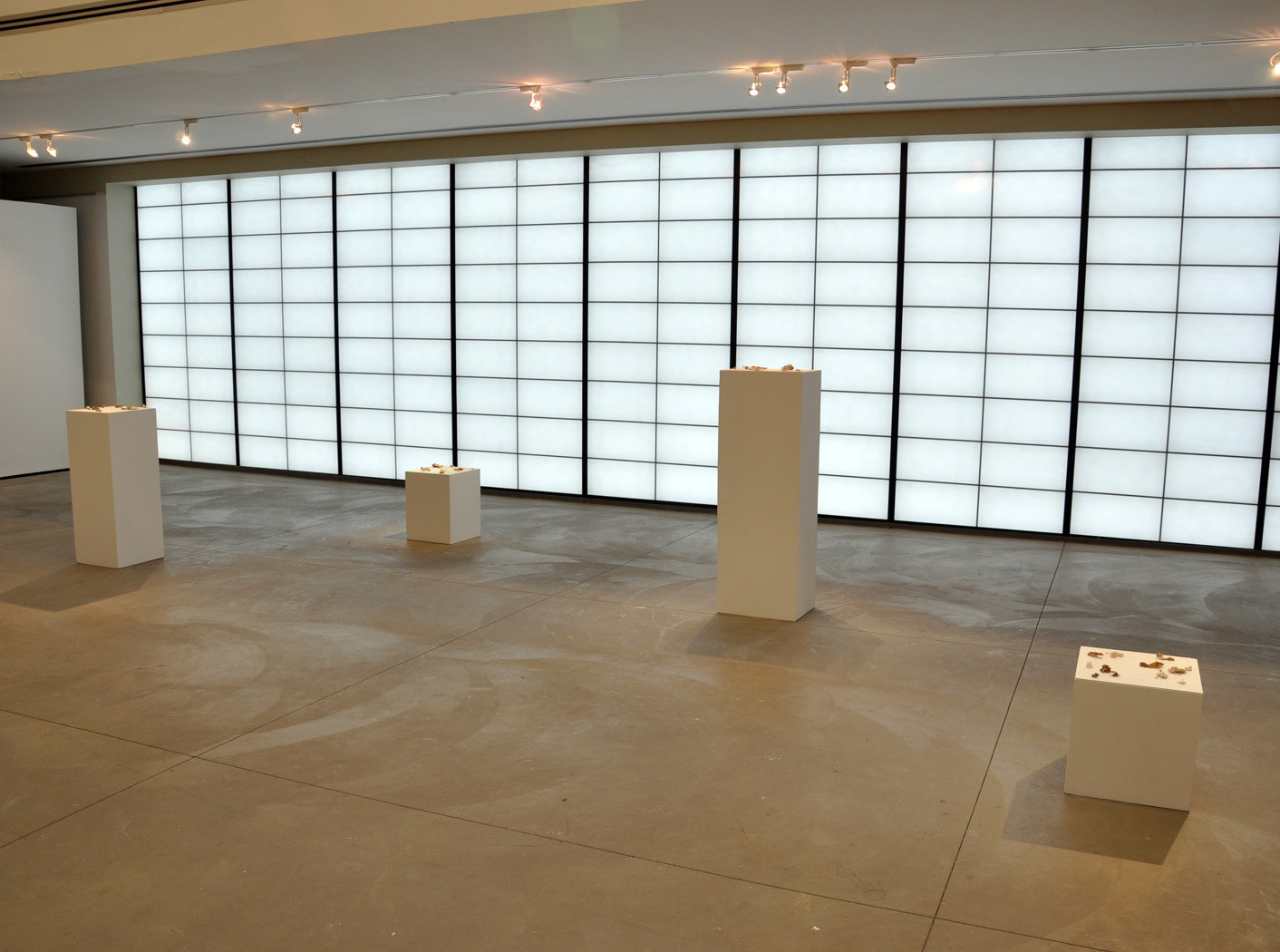 Excavations, found wood, cast wax, fiber and pencil, dimensions variable