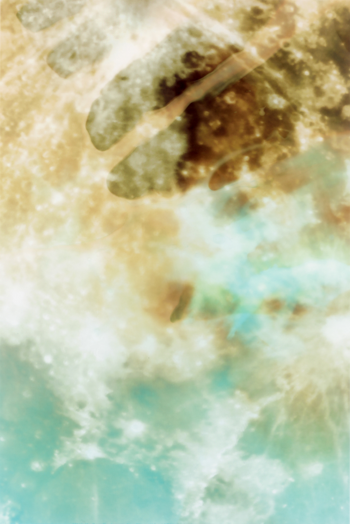 Intervention II, bleached c-print, 14" x 12"