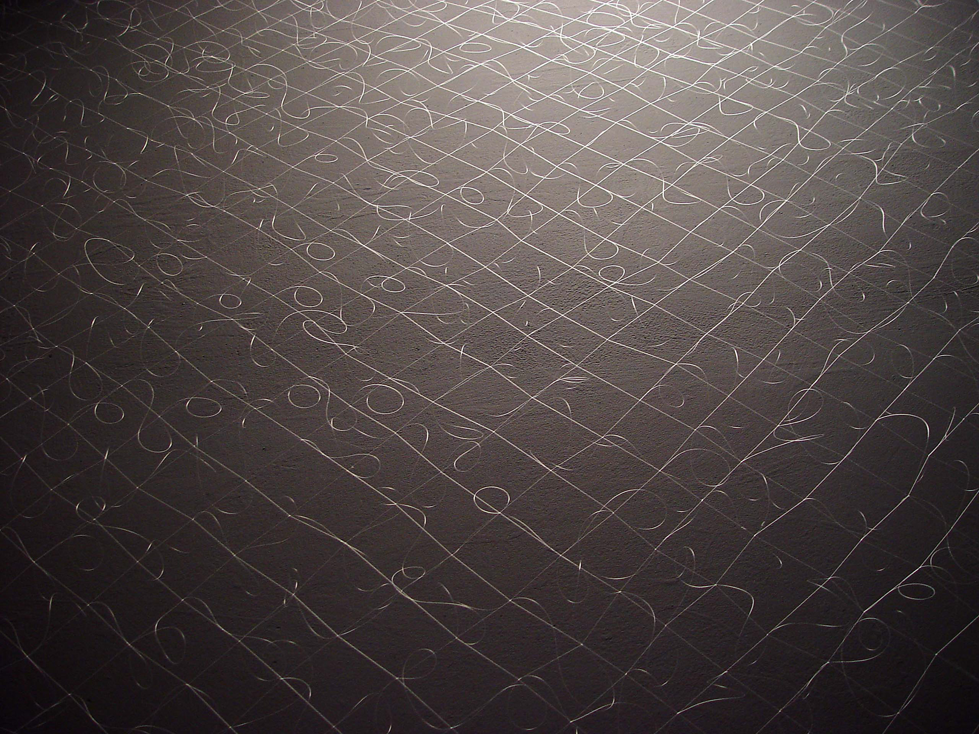 Monofilament Gray, archival inkjet print, 20" x 30"