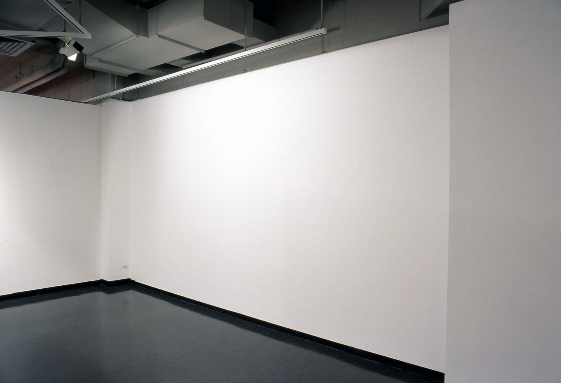 Phenomena Perceived, detail