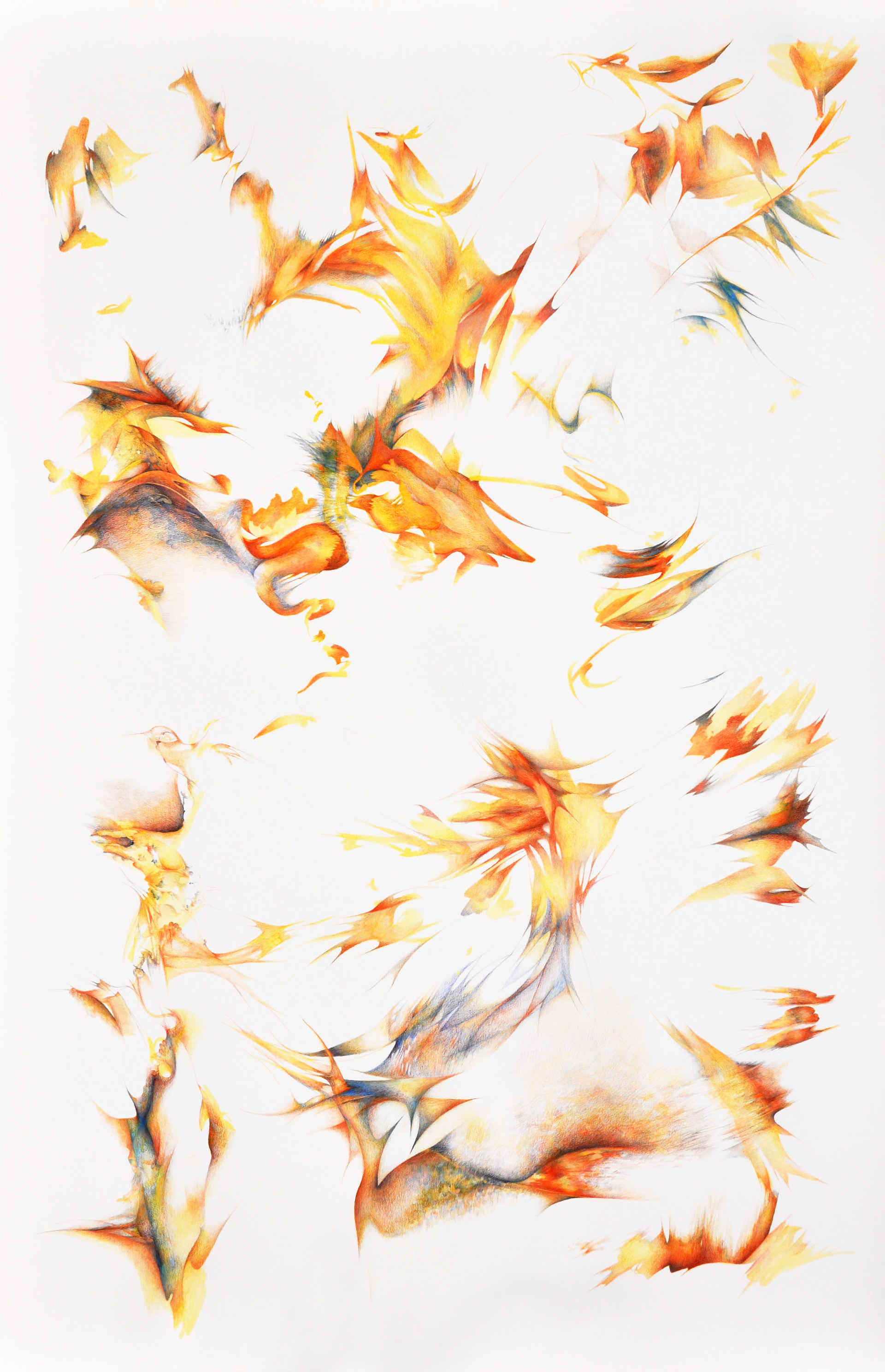 Terrain, ink and colored pencil, 60" x 40"