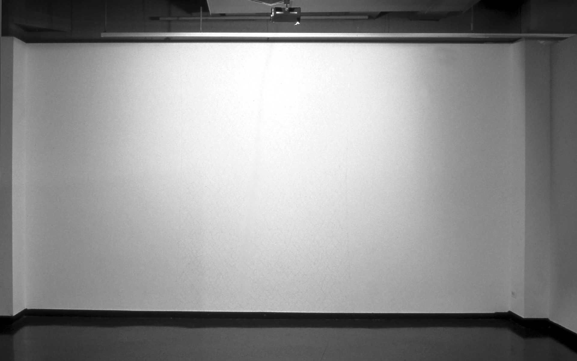 Phenomena Perceived, monofilament, 15' x 8' x 2"