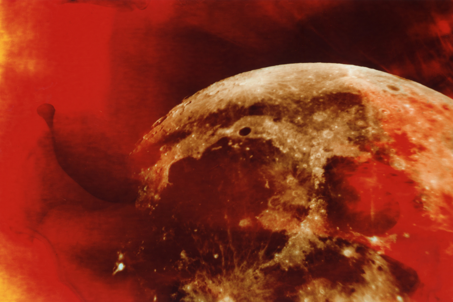 Intervention III, bleached c-print, 12" x 14"