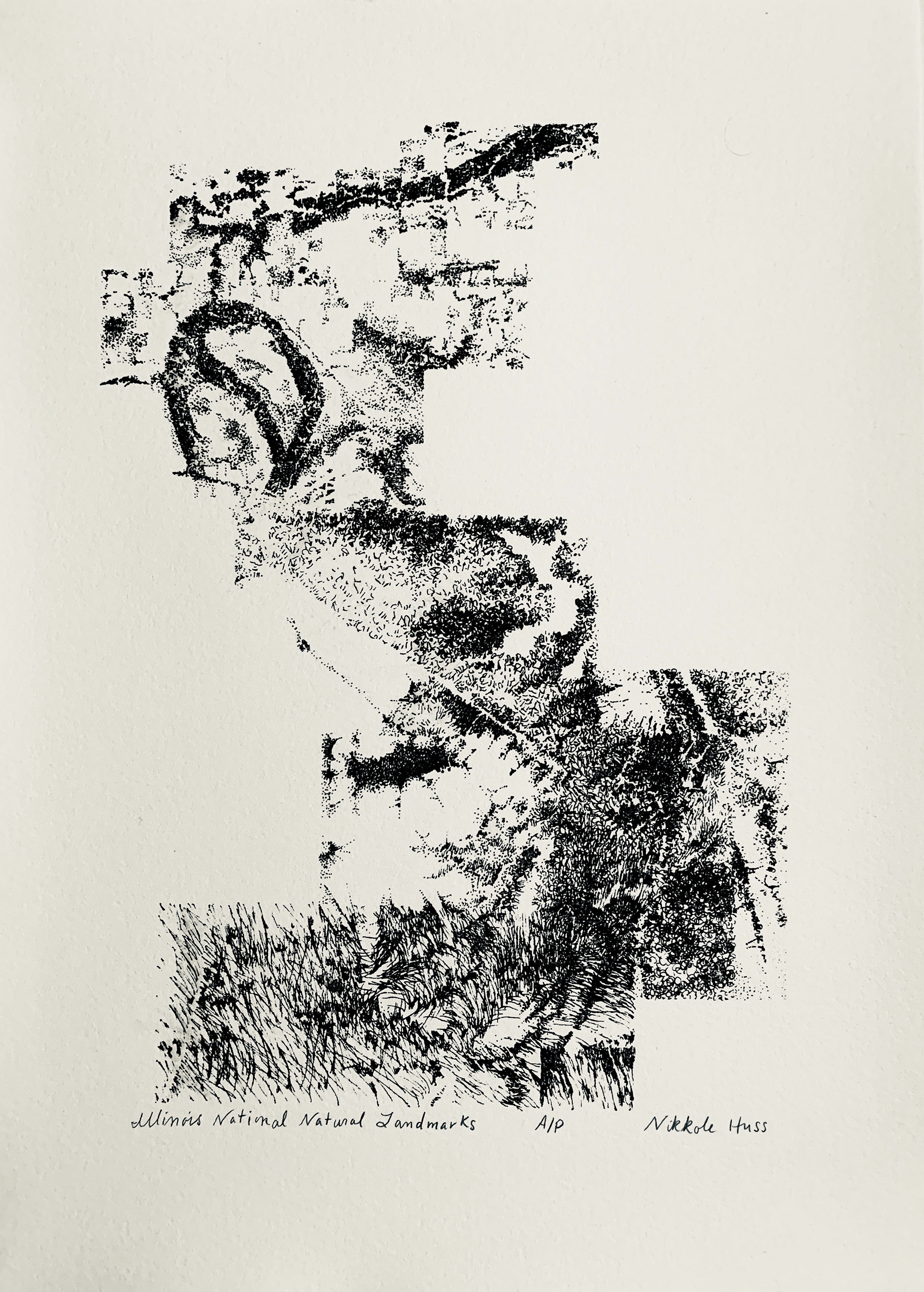 Illinois National Natural Landmarks, lithograph, 14" x 11"