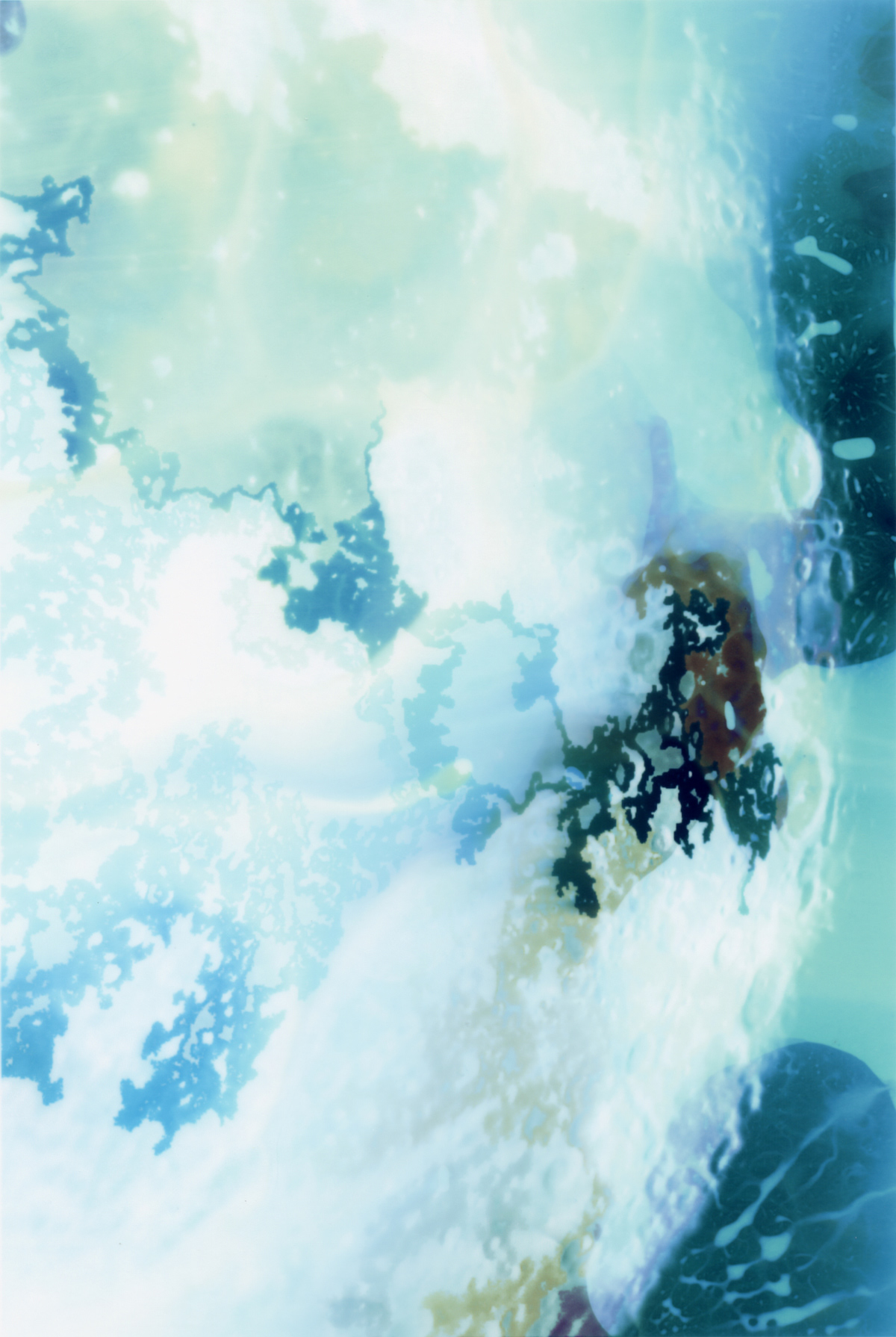 Intervention I, bleached c-print, 14" x 12"