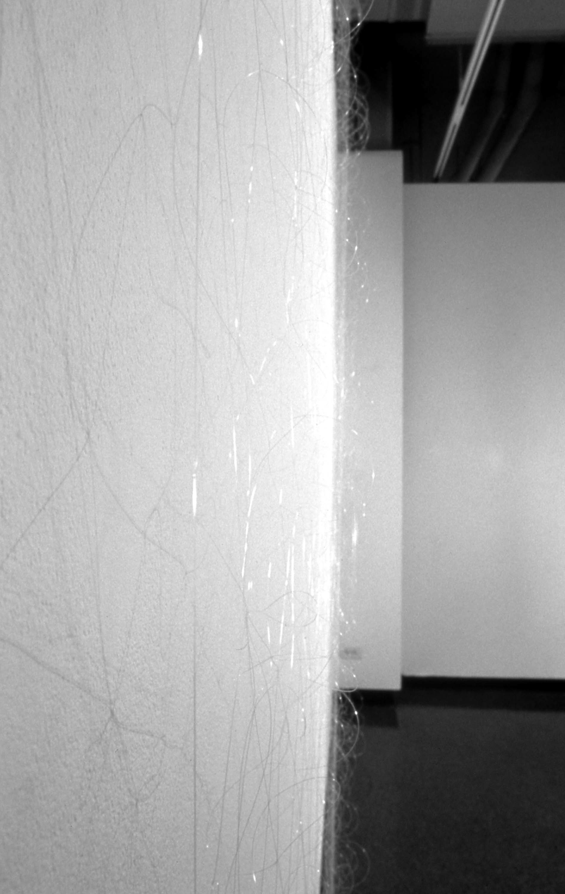 Phenomena Perceived, detail