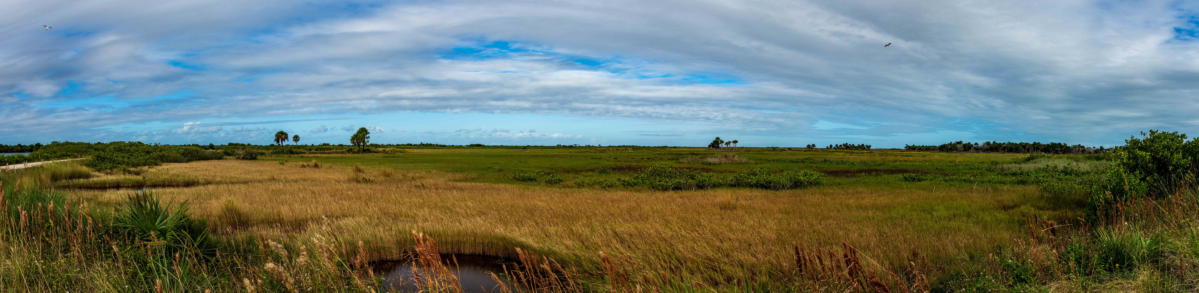 Black Point Wildlife Drive 11-20-20