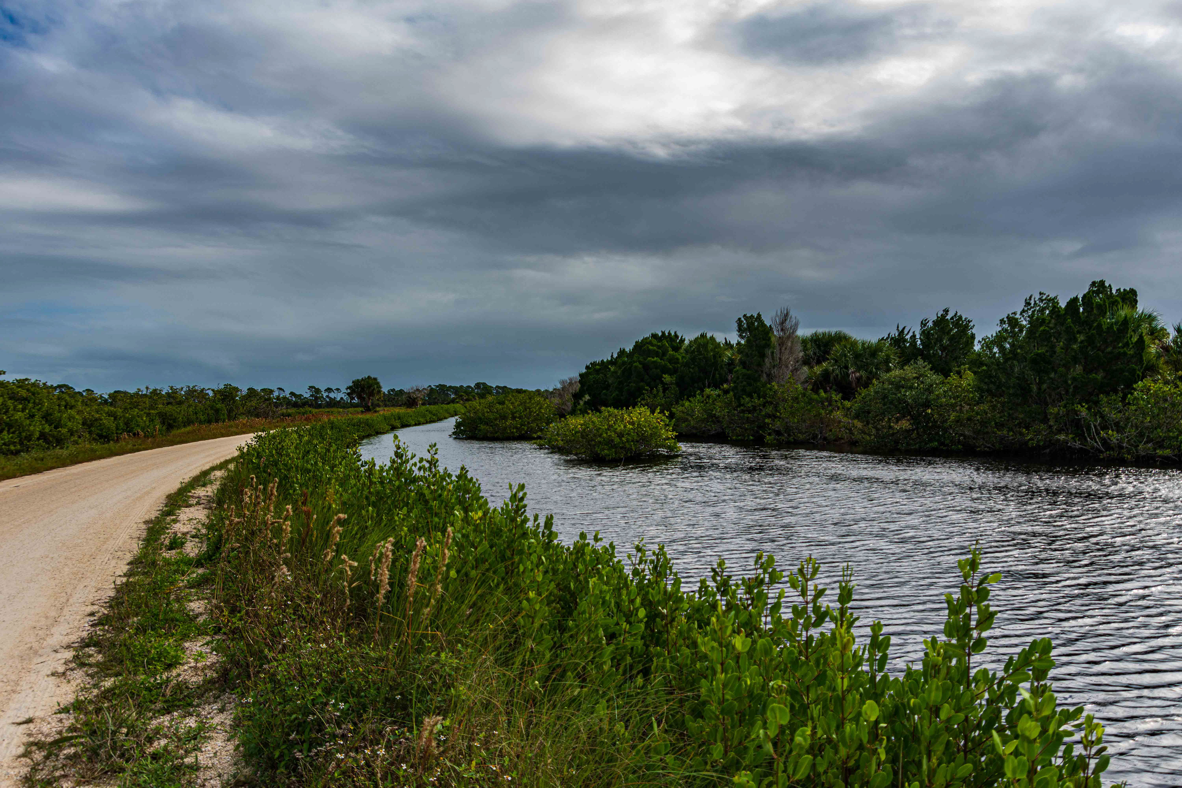 Black Point Wildlife Drive 11-20-20