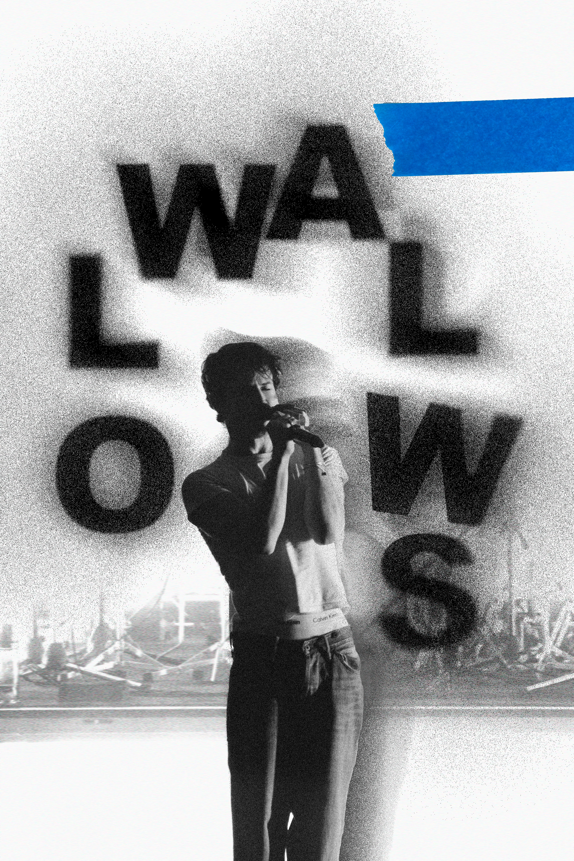 WALLOWS