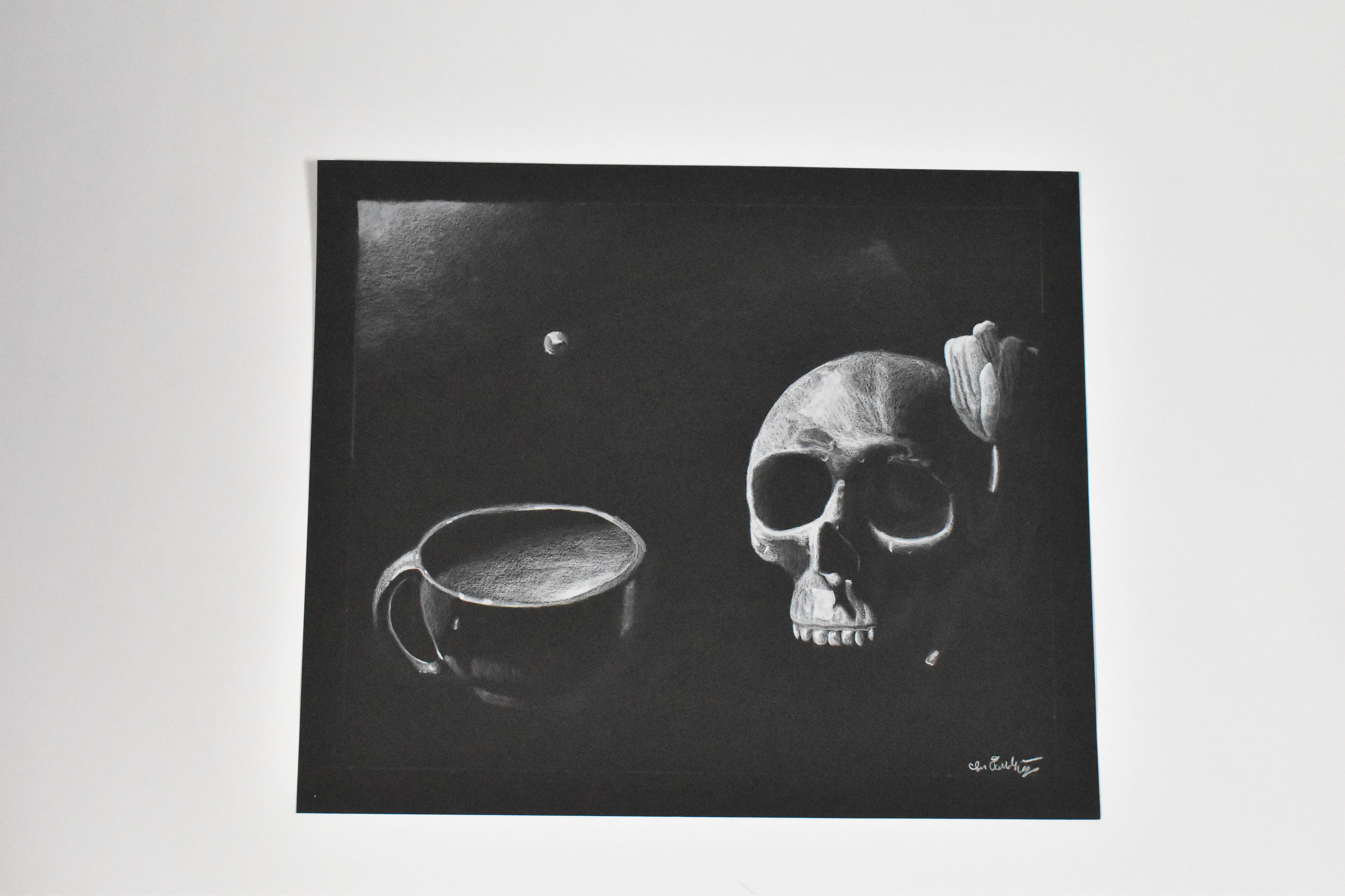 Skull White Colored Pencil