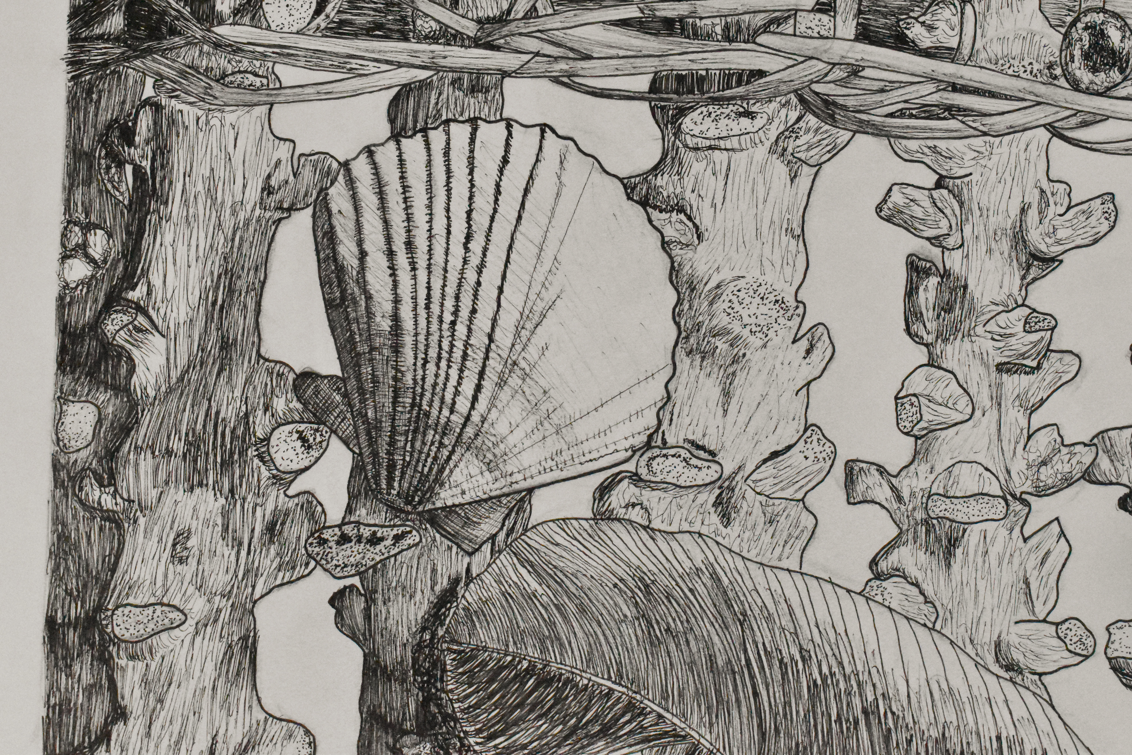 Pen and Ink Close up