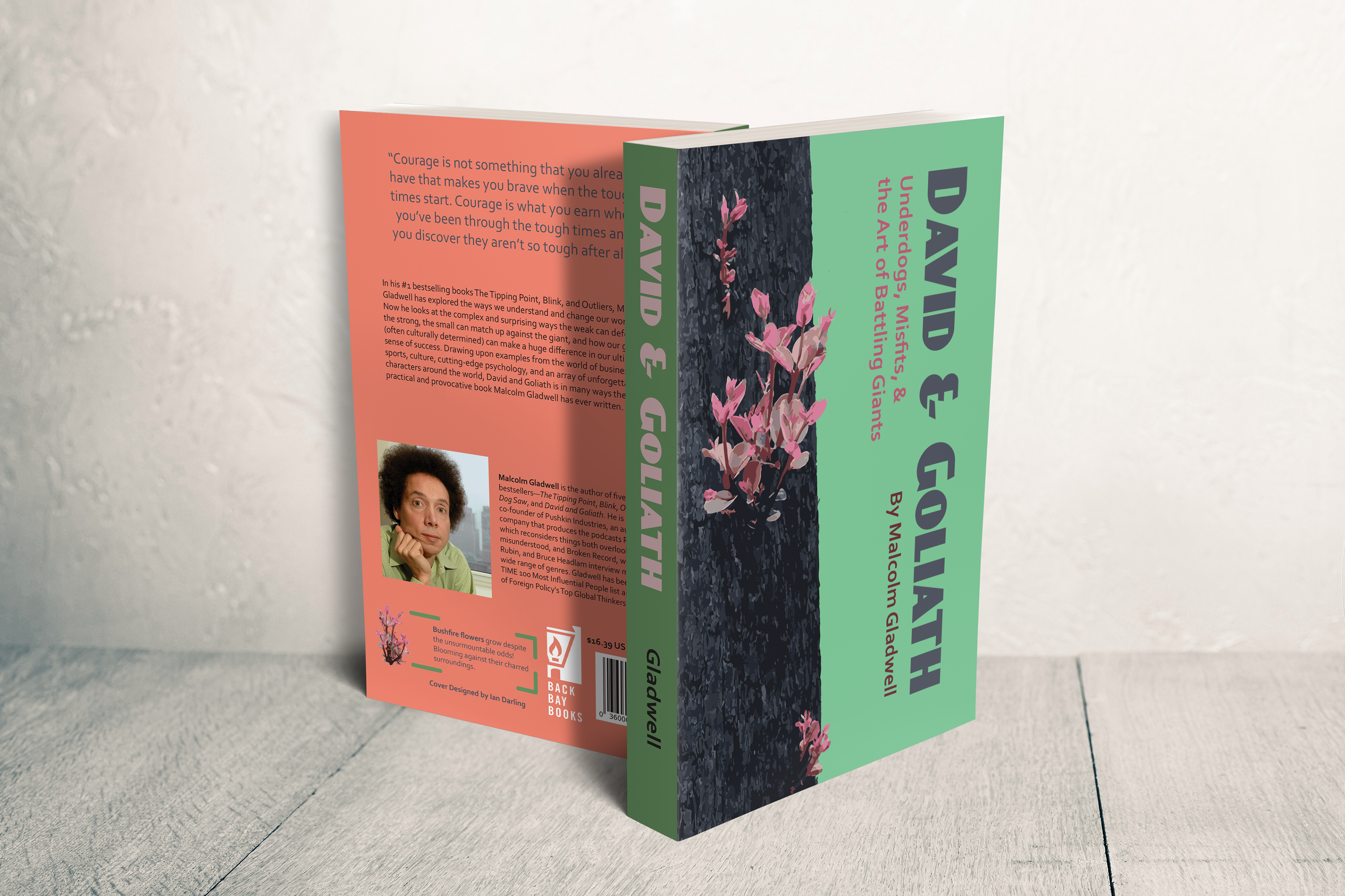 Malcolm Gladwell Trilogy Reimagination - David and Goliath