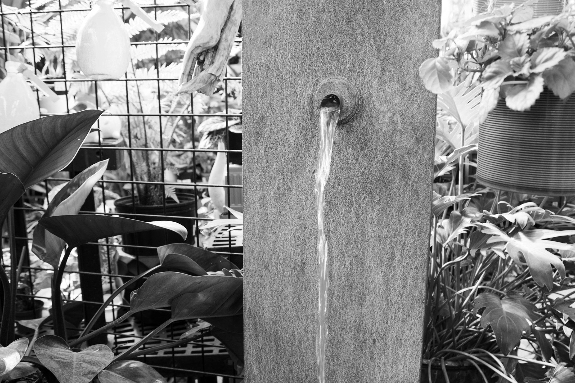 Trickle Trickle - Time