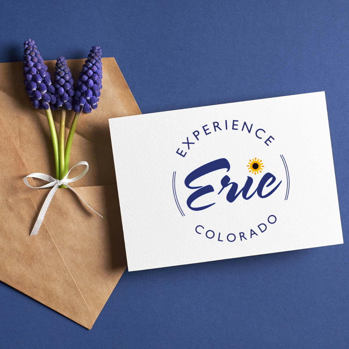 Experience Erie Logo