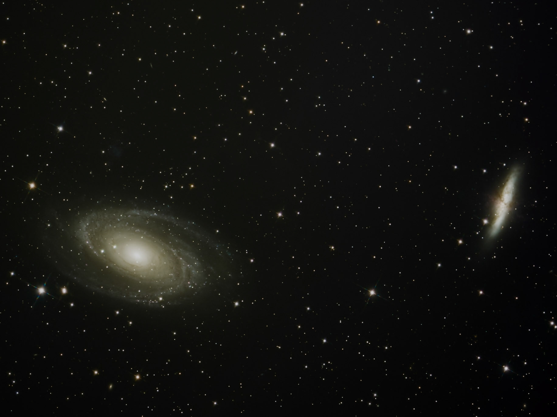 M81 Bouscule  M82 sa petite voisine par sa force gravitationnelle