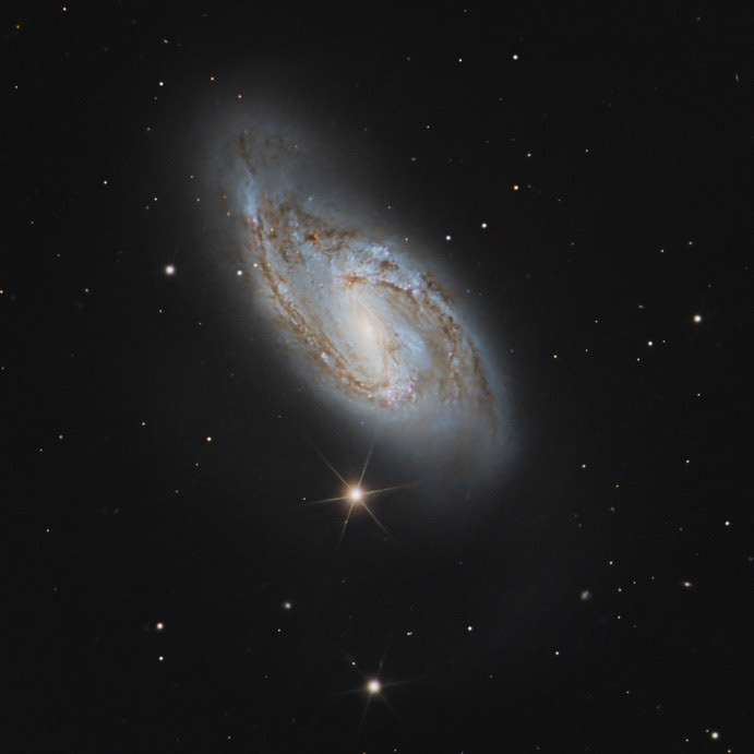 Détails de M66