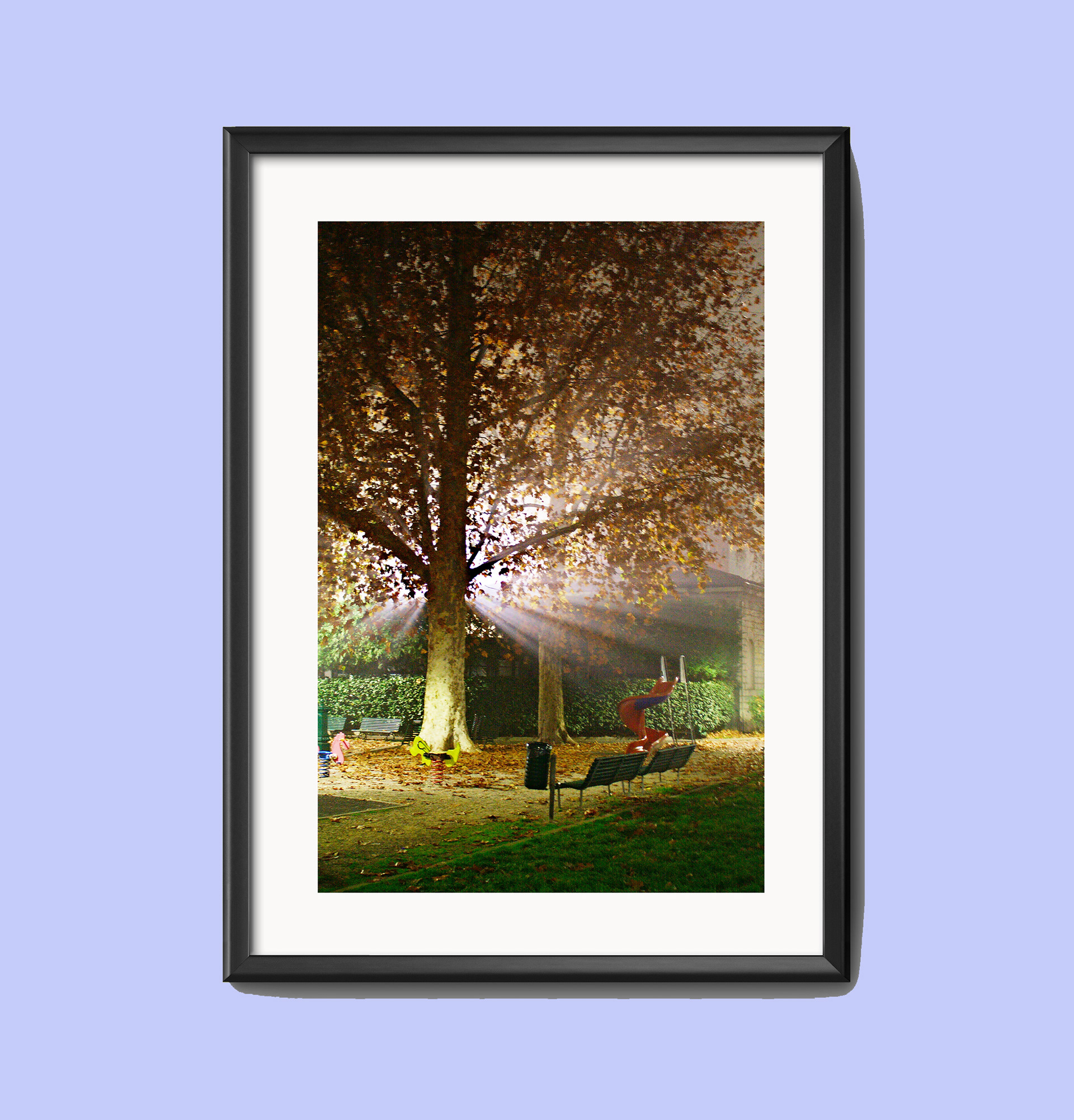 PIAZZA CANTORE, 2015