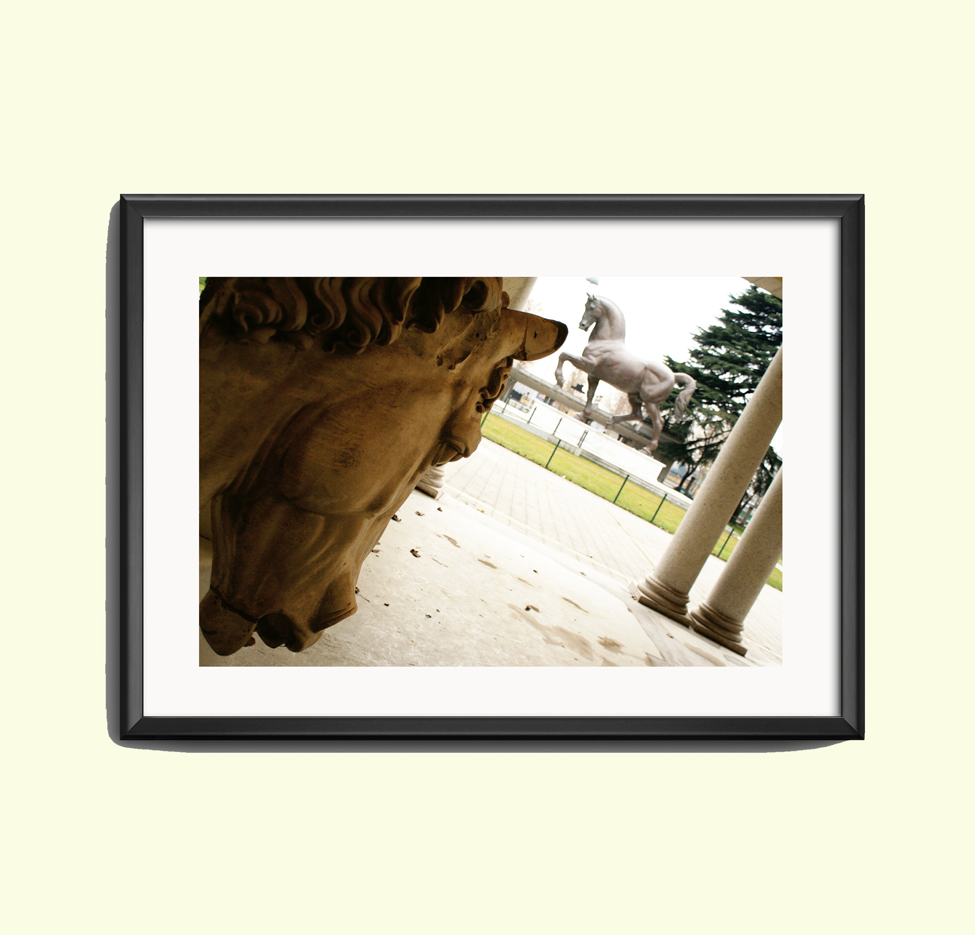 CAVALLO DI LEONARDO, 2015