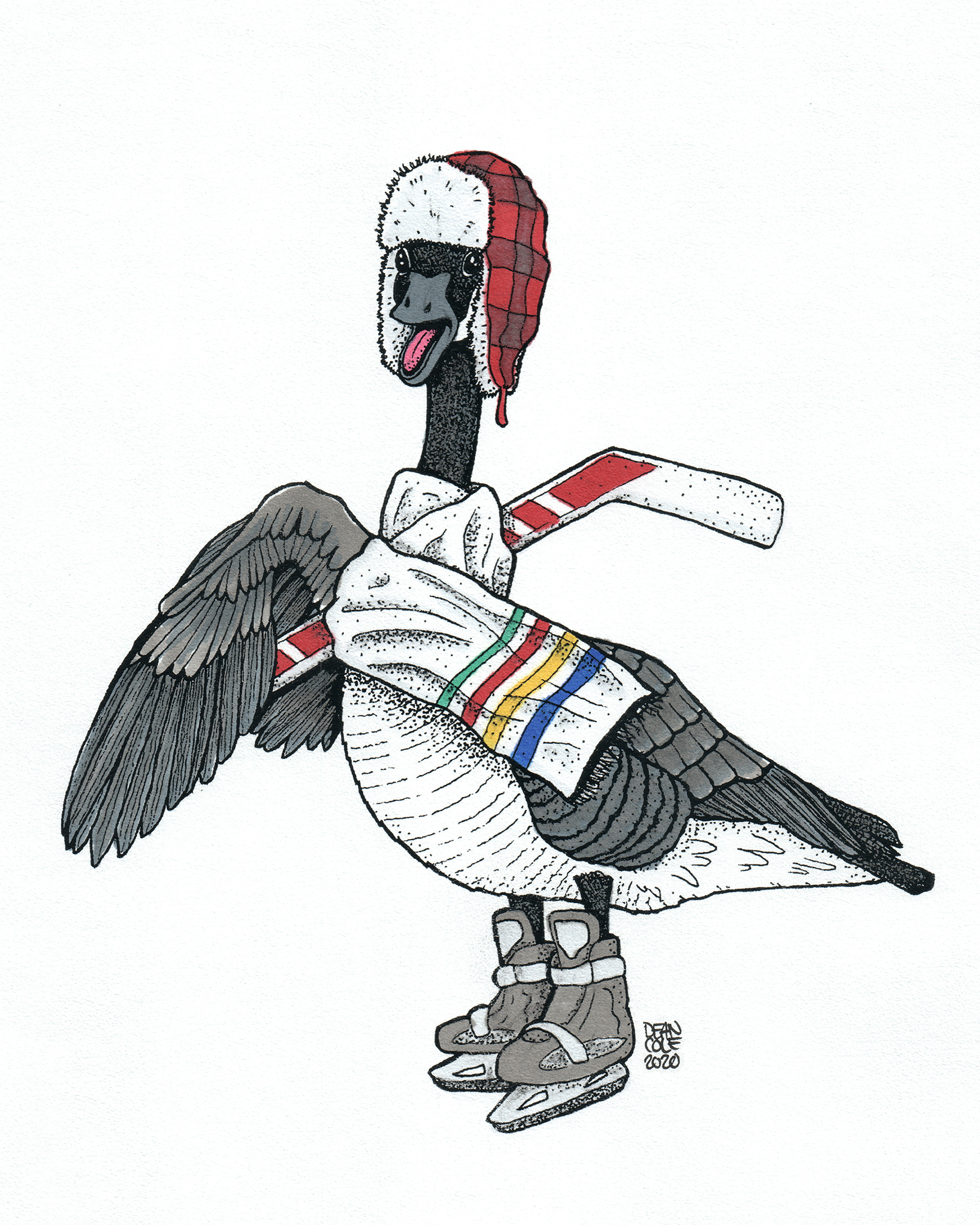 Canadian Goose