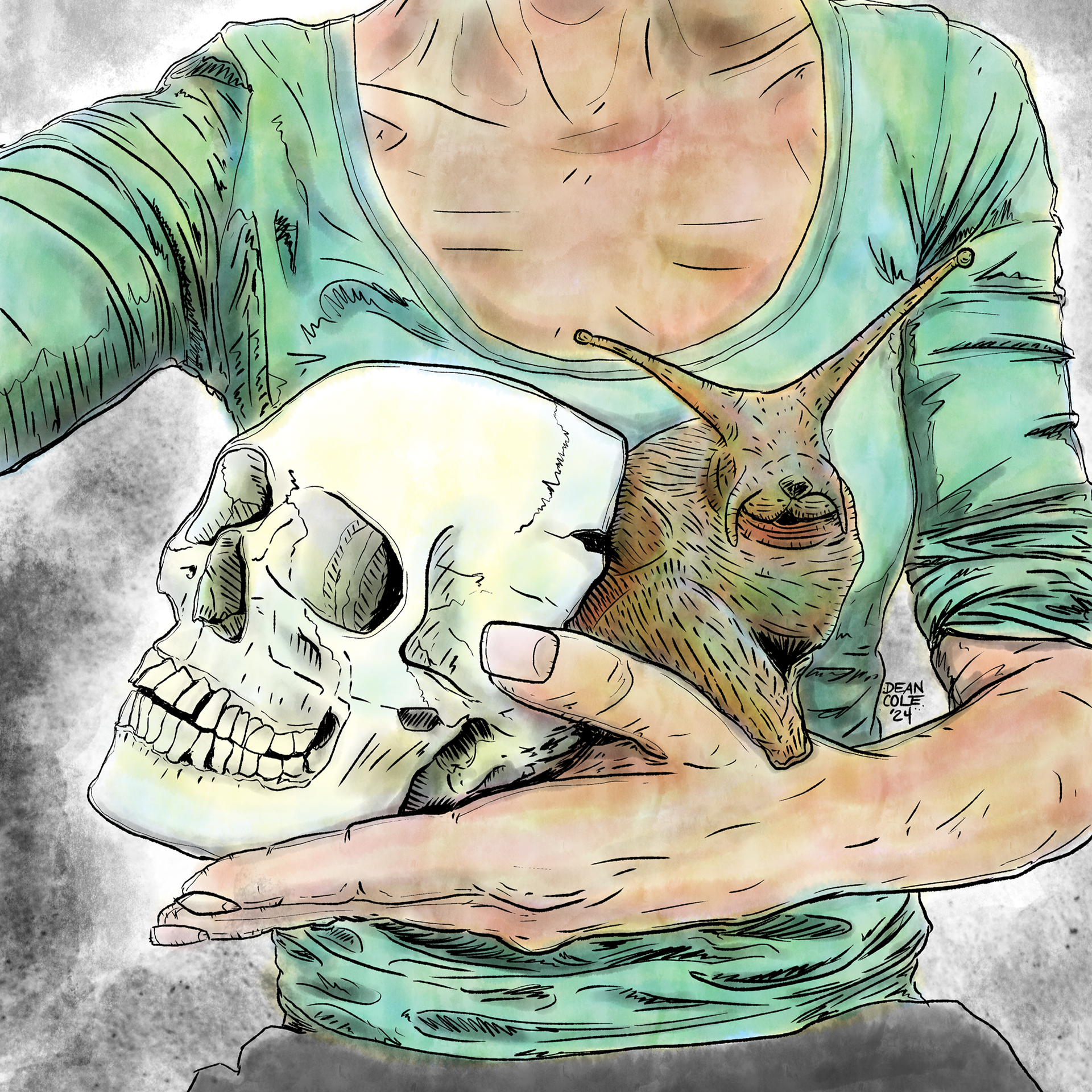 Skull Shelled Snail