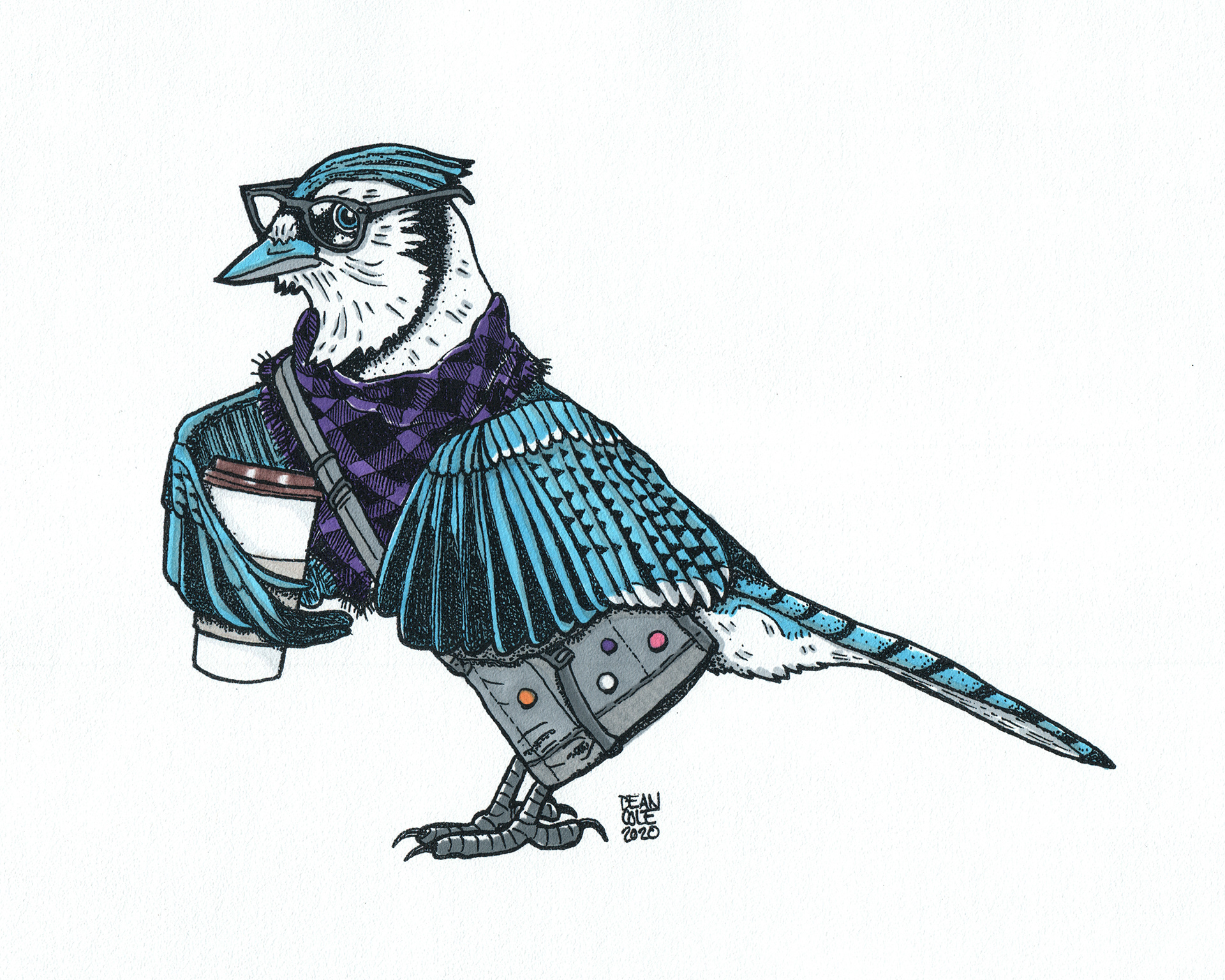 Hipster Blue Jay
